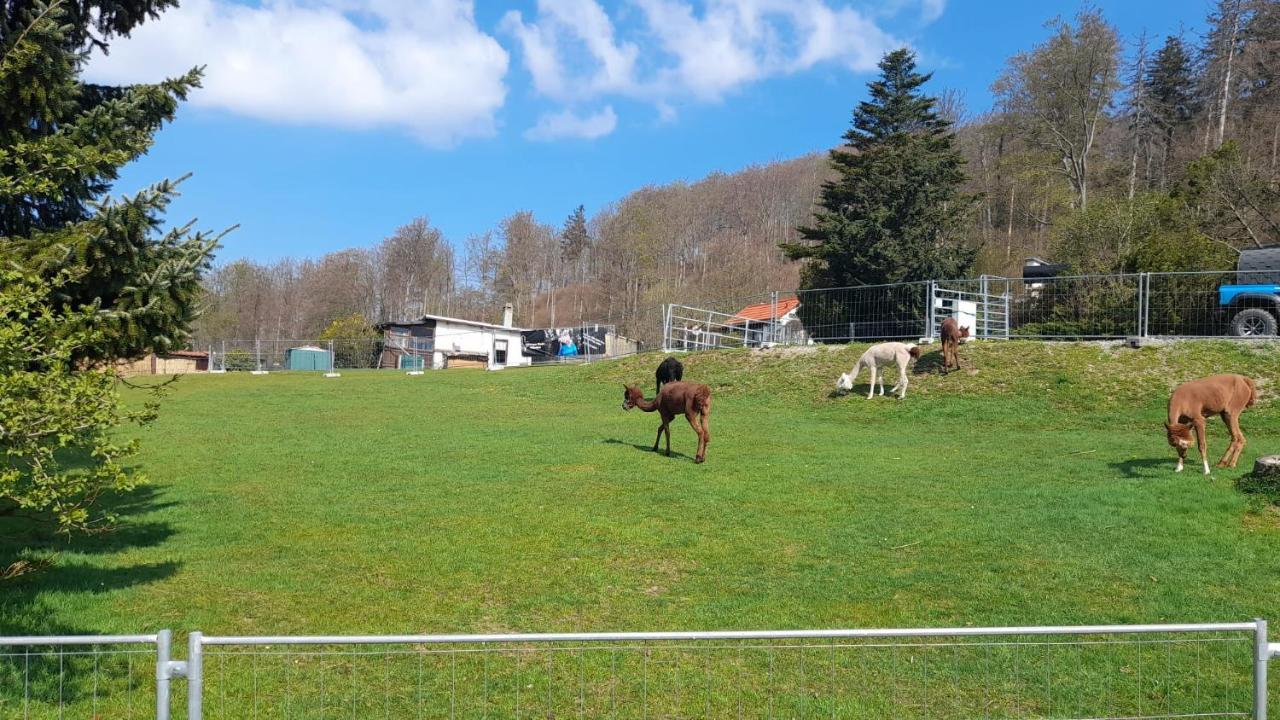 Bergpanorama Ruhla Exterior foto